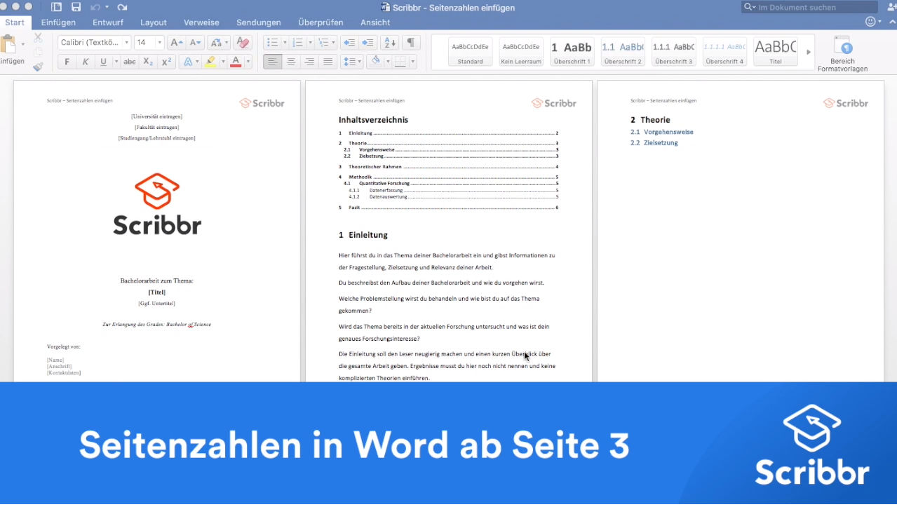 Word Ipad Seitenzahlen Ab Seite 3 www.scribbr.de