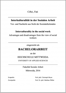 Bachelorarbeit Soziale Arbeit2